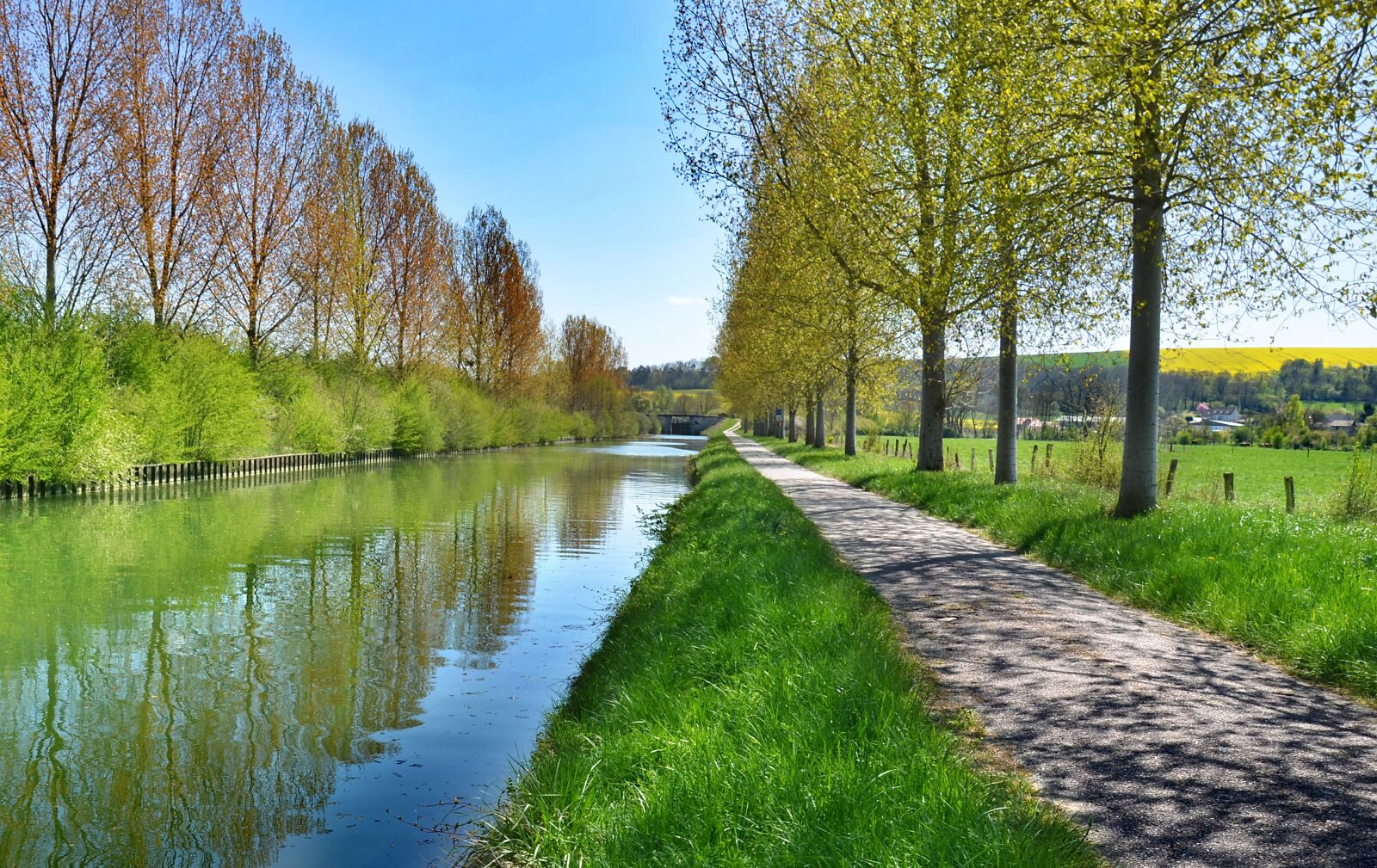 Nikon D5100 sample photo. Channel, river, waterpolo photography
