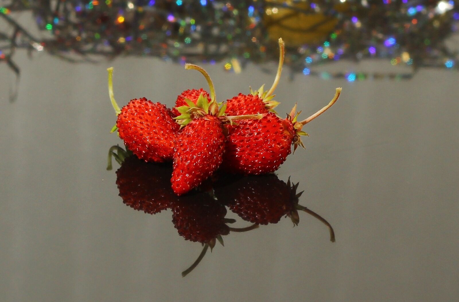 Canon EOS 600D (Rebel EOS T3i / EOS Kiss X5) sample photo. Wild strawberry, berry, the photography