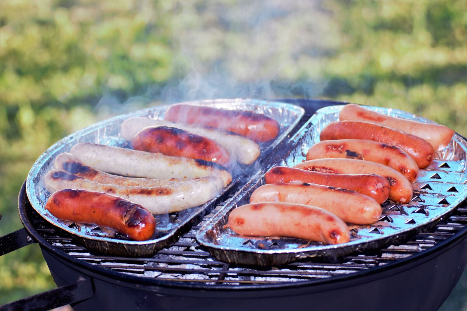 Canon EOS 650D (EOS Rebel T4i / EOS Kiss X6i) sample photo. Picnic, grill, meat photography