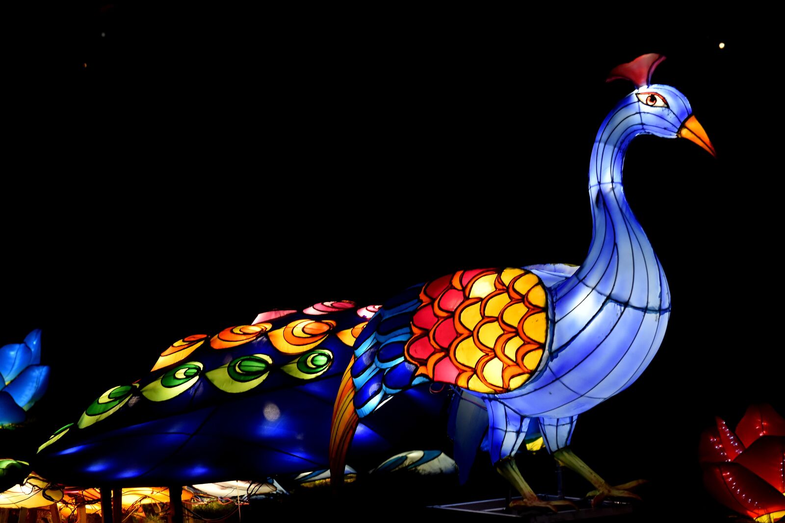 Nikon D5500 sample photo. Artistic, artwork, bird, colorful photography