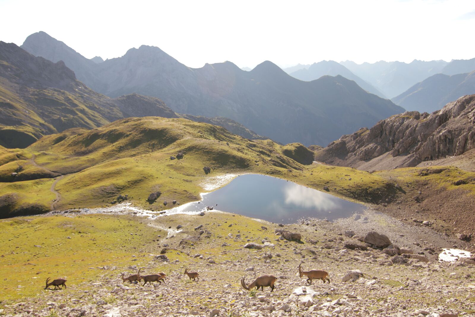 Canon EOS 80D sample photo. Steinöcke, alpine, bergsee photography