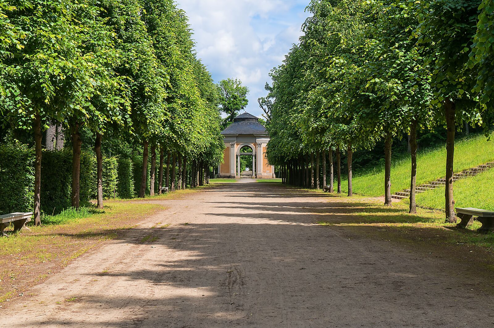 Sony Alpha NEX-3N sample photo. Avenue, trees, away photography