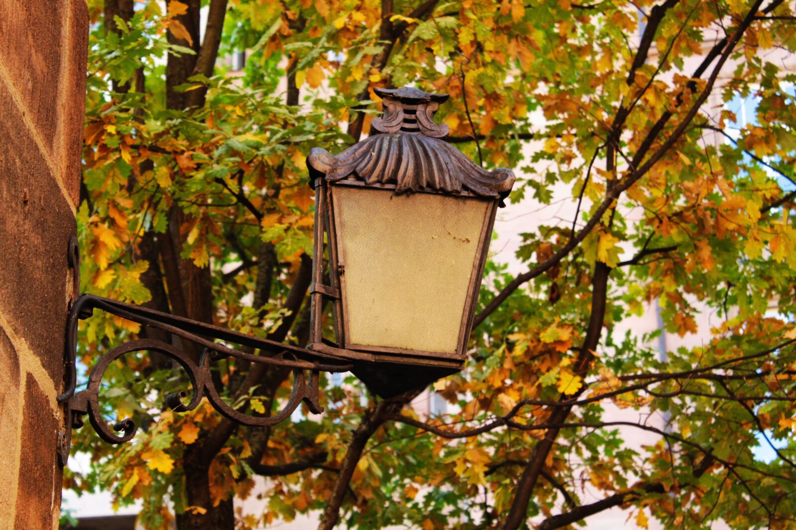 Canon EOS 1300D (EOS Rebel T6 / EOS Kiss X80) sample photo. Nuremberg, light, street lamp photography