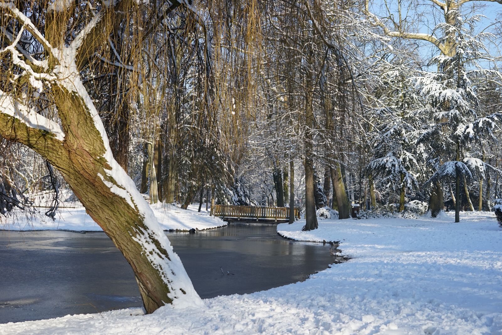 Sony a7 + Sony FE 50mm F1.8 sample photo. Snow, winter, cold photography