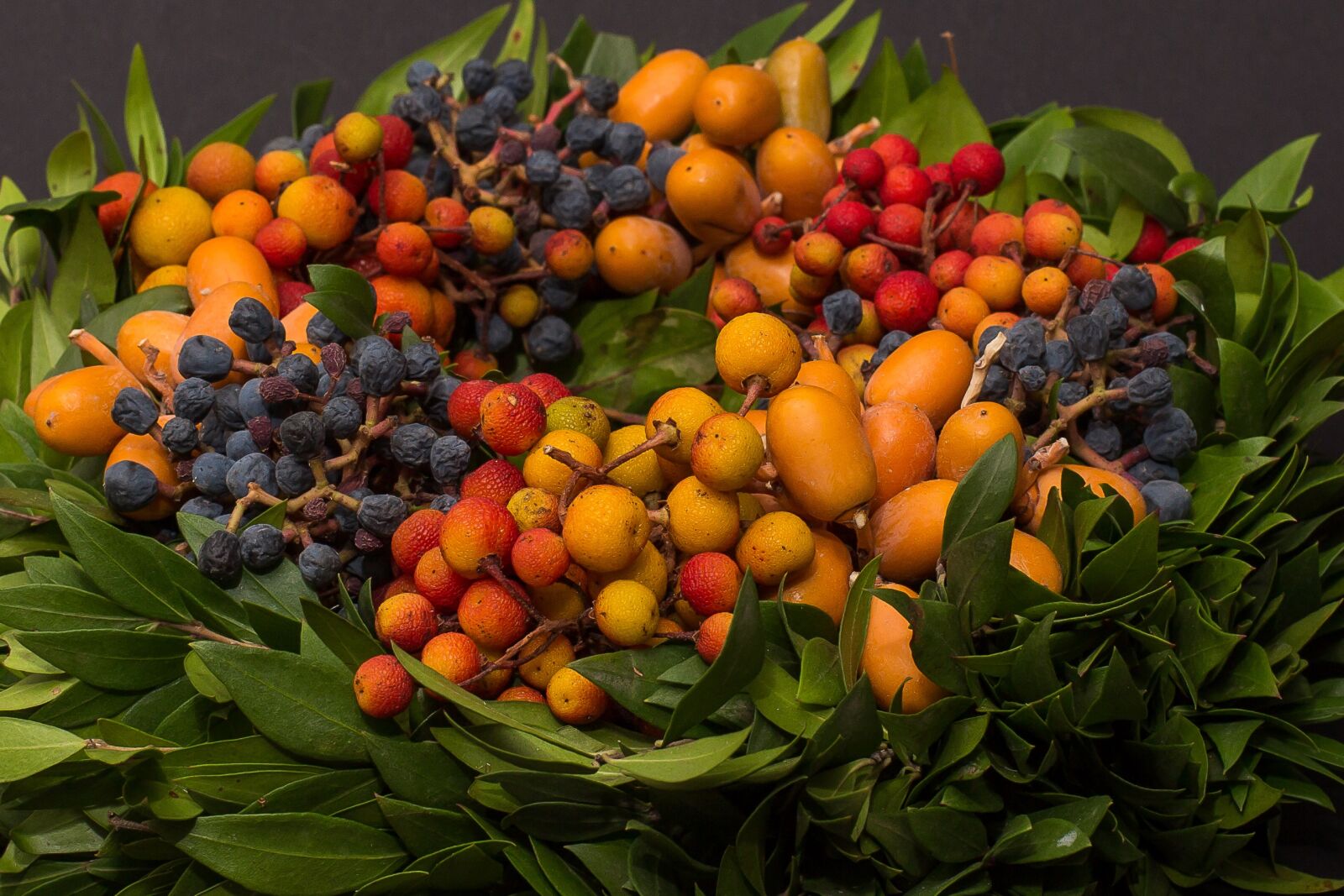 Canon EF 50mm F1.4 USM sample photo. Berries, autumn, autumn wreath photography