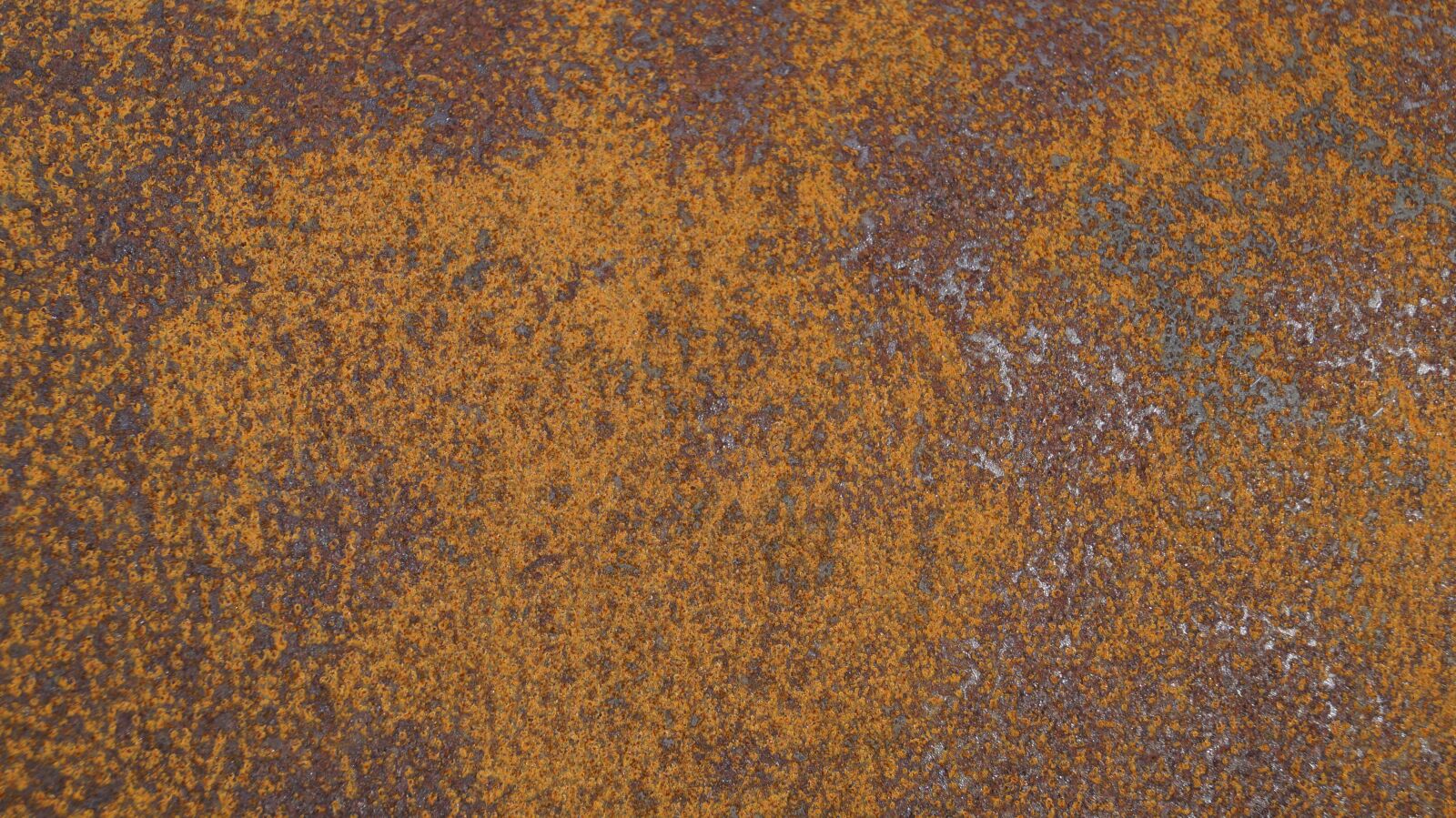 Sony DT 18-55mm F3.5-5.6 SAM II sample photo. Rust, iron, texture photography