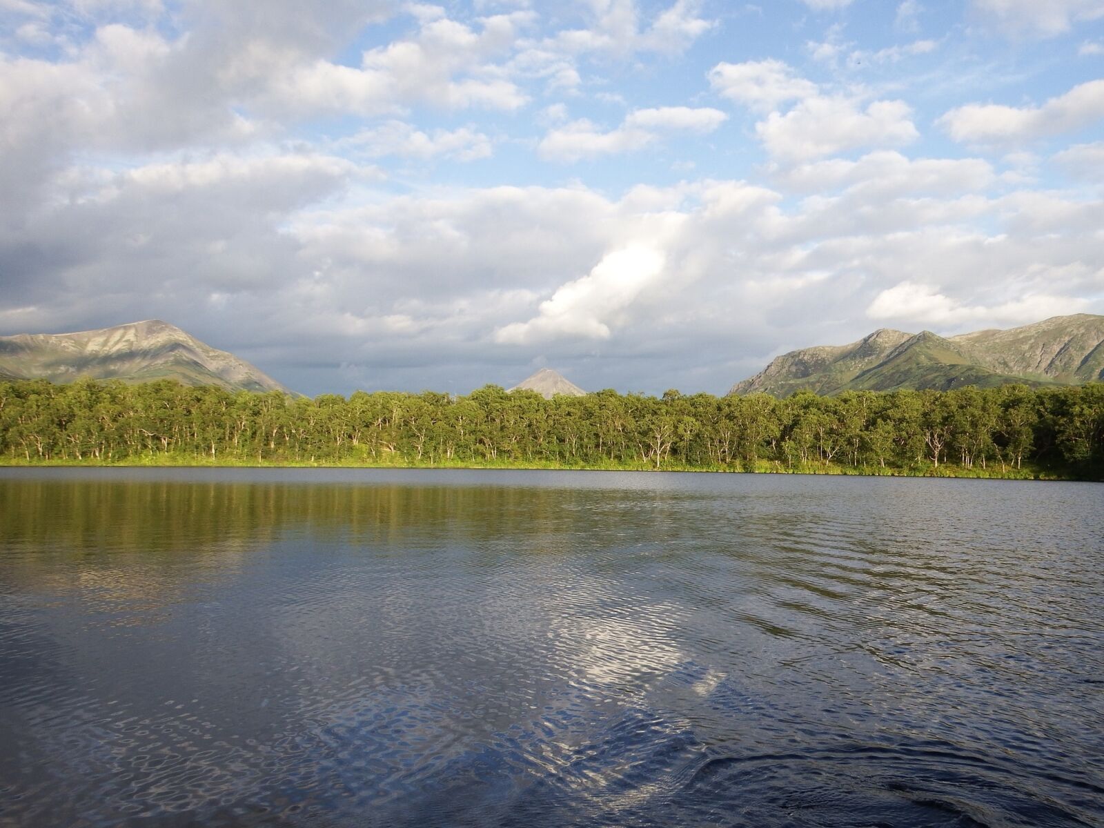 Fujifilm FinePix S1 sample photo. Lake, mountains, forest photography