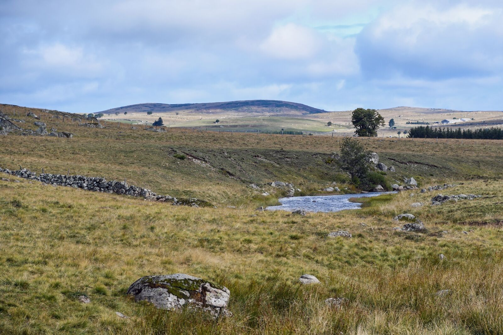 Nikon D500 sample photo. Lozère, landscape, aubrac photography