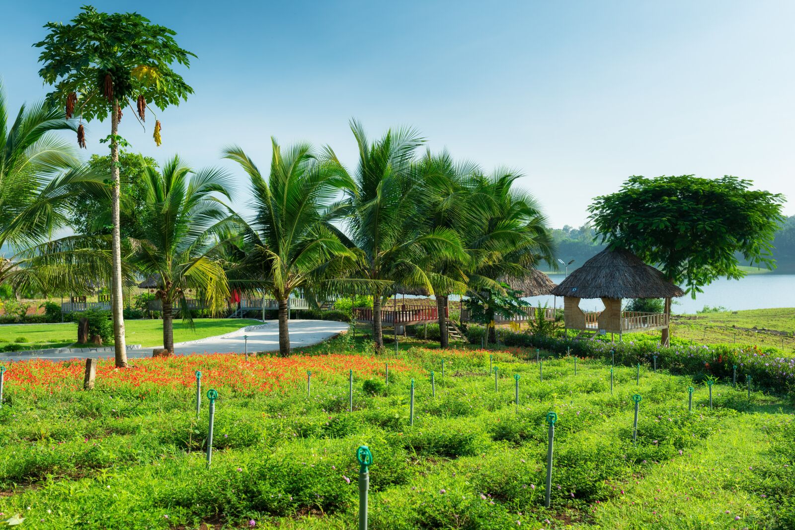 Nikon D750 sample photo. Resort, landscape, relax photography