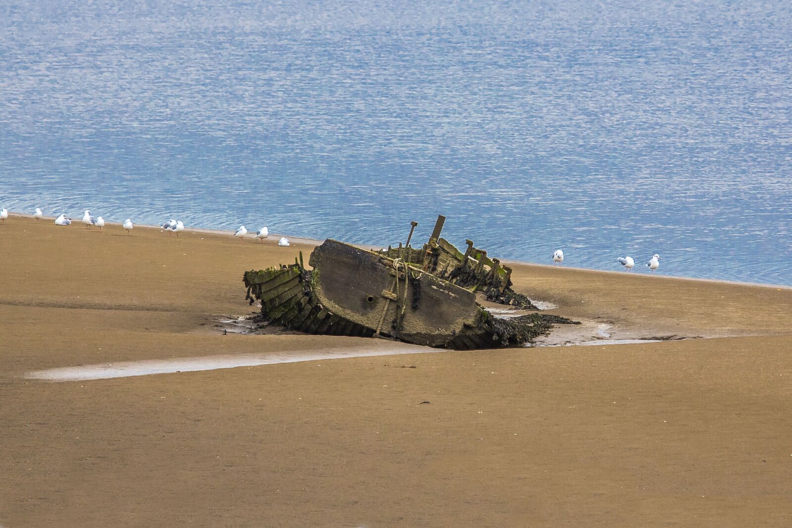 Canon EOS 60D sample photo. Wreck, ship, ocean photography
