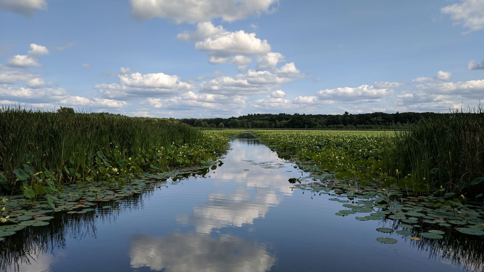Google Pixel sample photo. Pond, water, clouds photography