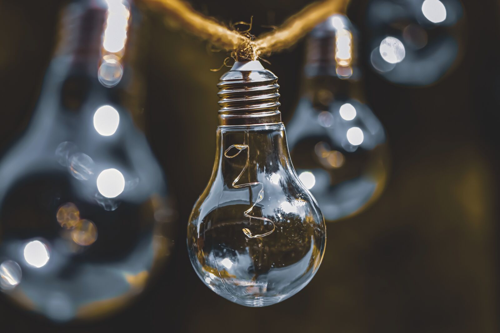 Nikon D7200 sample photo. Light bulb, energy, nature photography