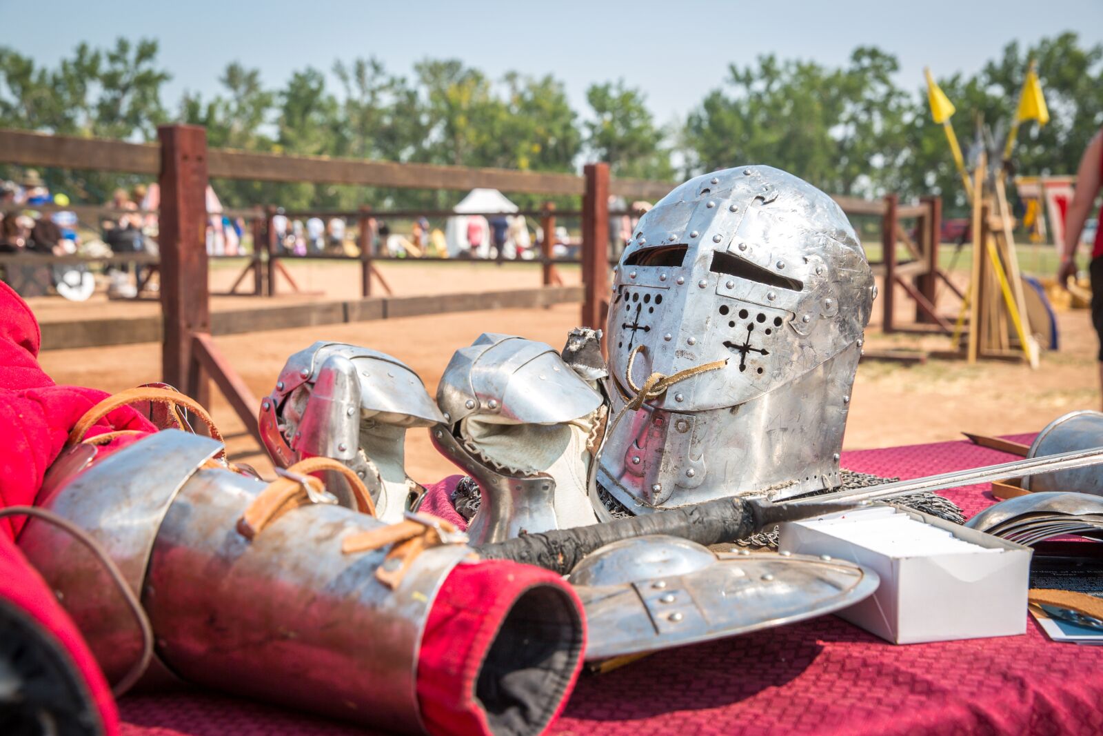 Canon EF 24-70mm F2.8L II USM sample photo. Knight, armour, sword photography