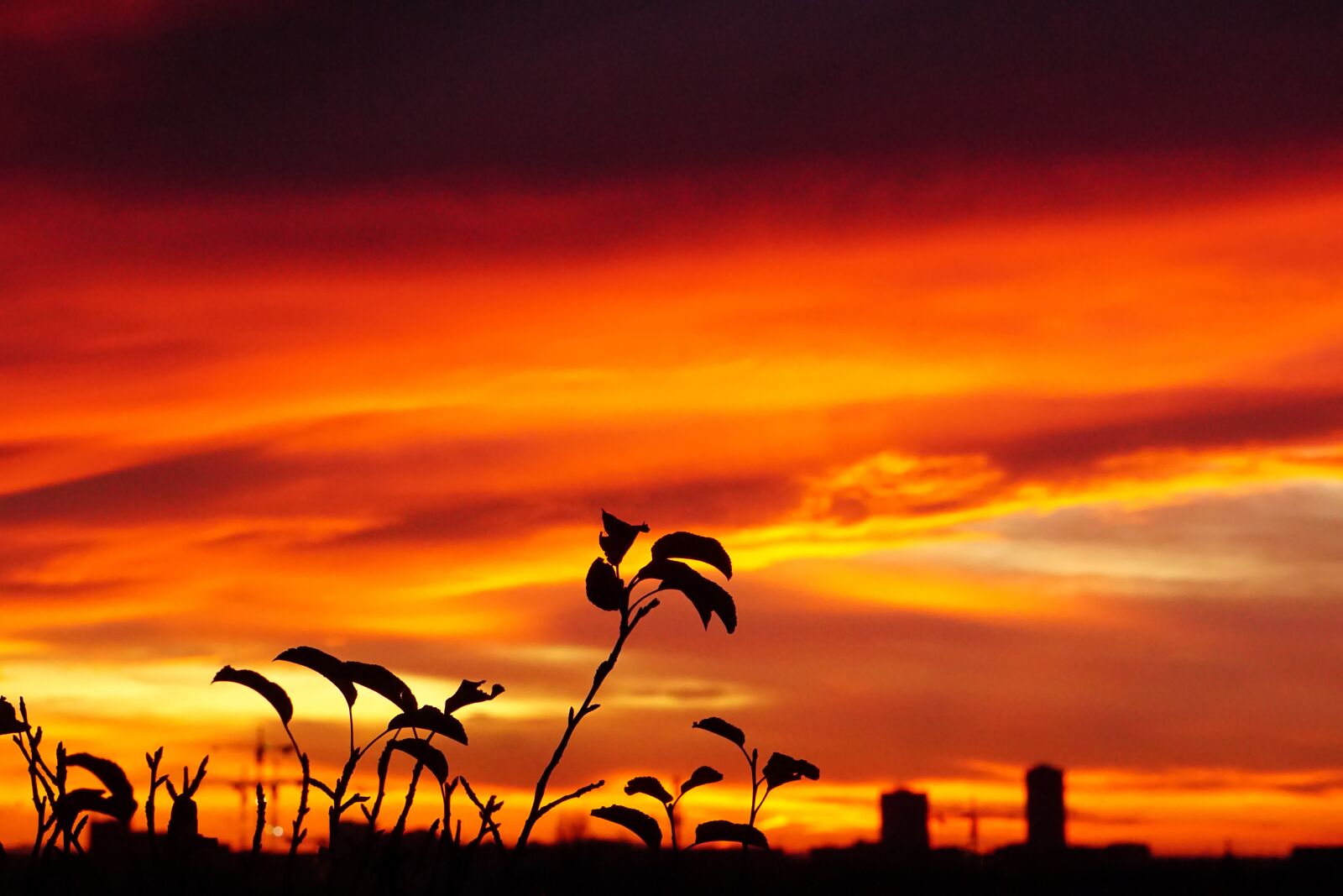 Sony E 55-210mm F4.5-6.3 OSS sample photo. Sunrise, orange, yellow photography