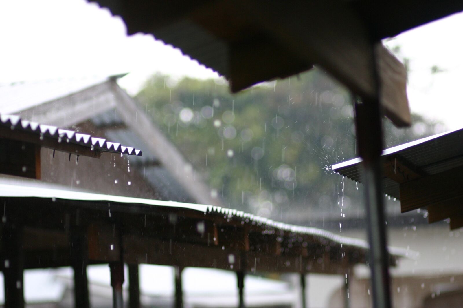 Canon EOS 300D (EOS Digital Rebel / EOS Kiss Digital) sample photo. Rainy day, summer, rainy photography