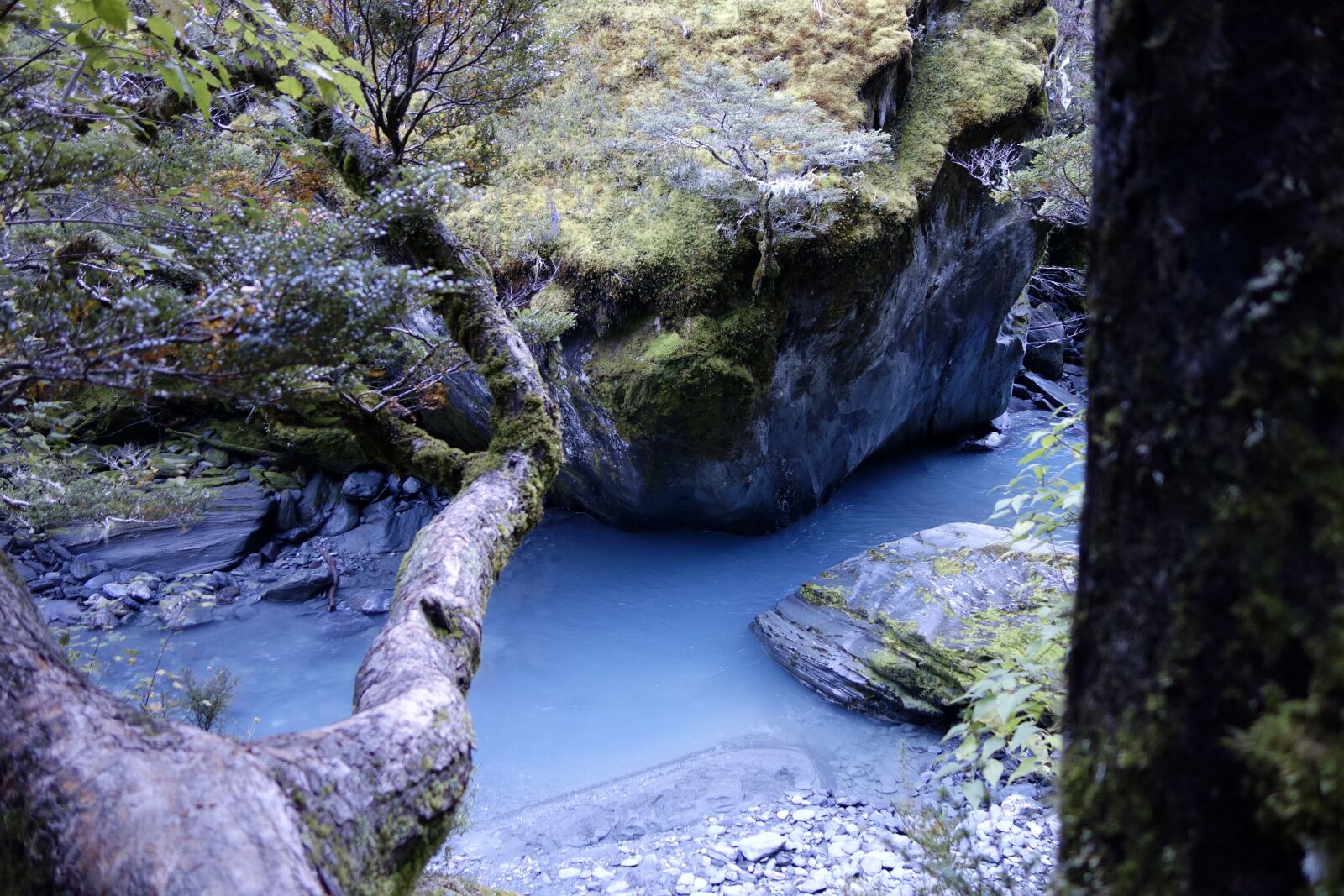 Sony Cyber-shot DSC-RX100 sample photo. Nature, new zealand, rob photography