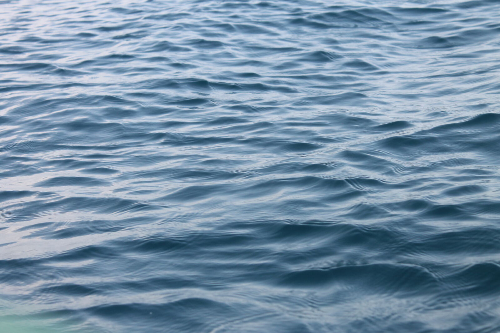 Canon EOS 1100D (EOS Rebel T3 / EOS Kiss X50) sample photo. Blue, water photography