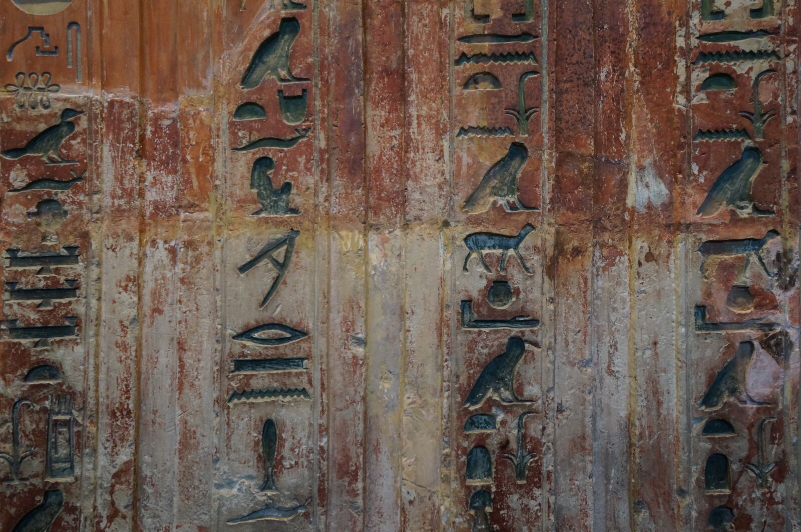 Sony Alpha NEX-6 + Sony E 10-18mm F4 OSS sample photo. Egypt, ancient, hieroglyph photography