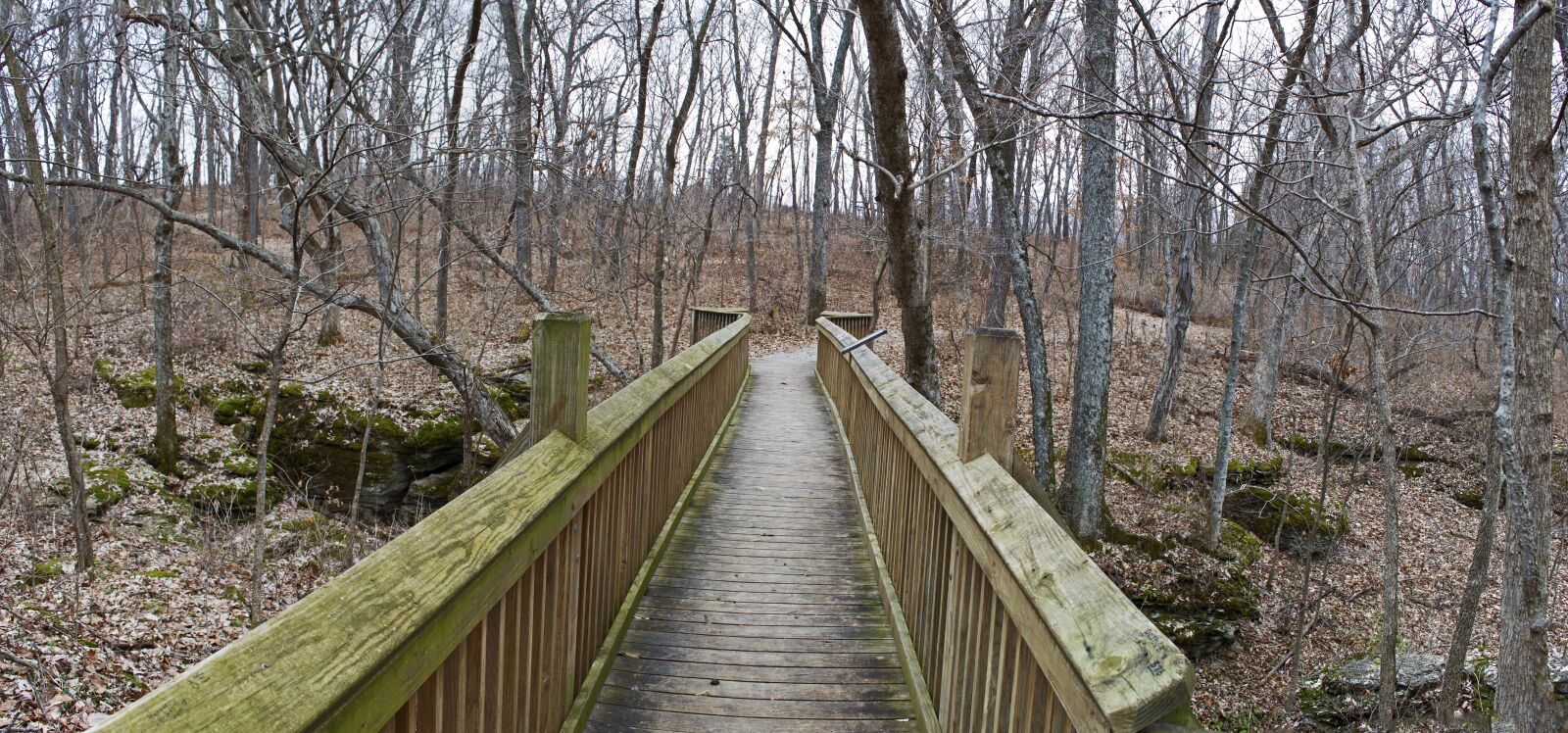 Nikon D3200 sample photo. Bridge, walkway, pathway photography