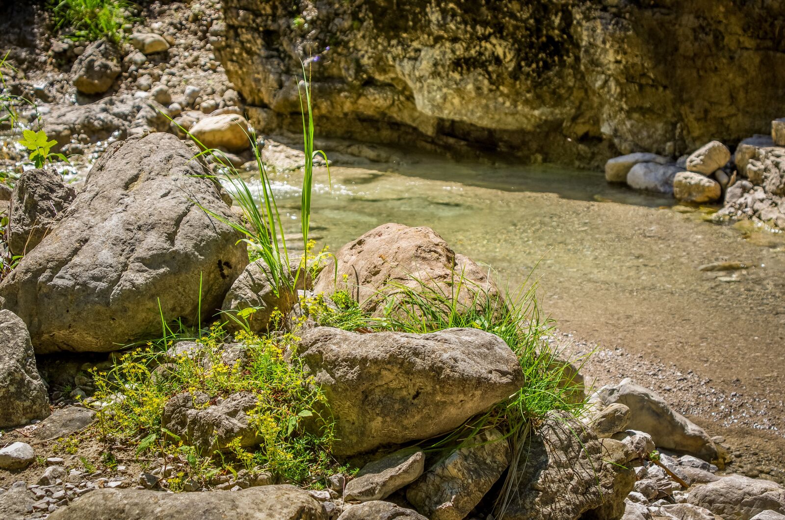 Pentax K-5 II sample photo. Nature, stream bed, water photography