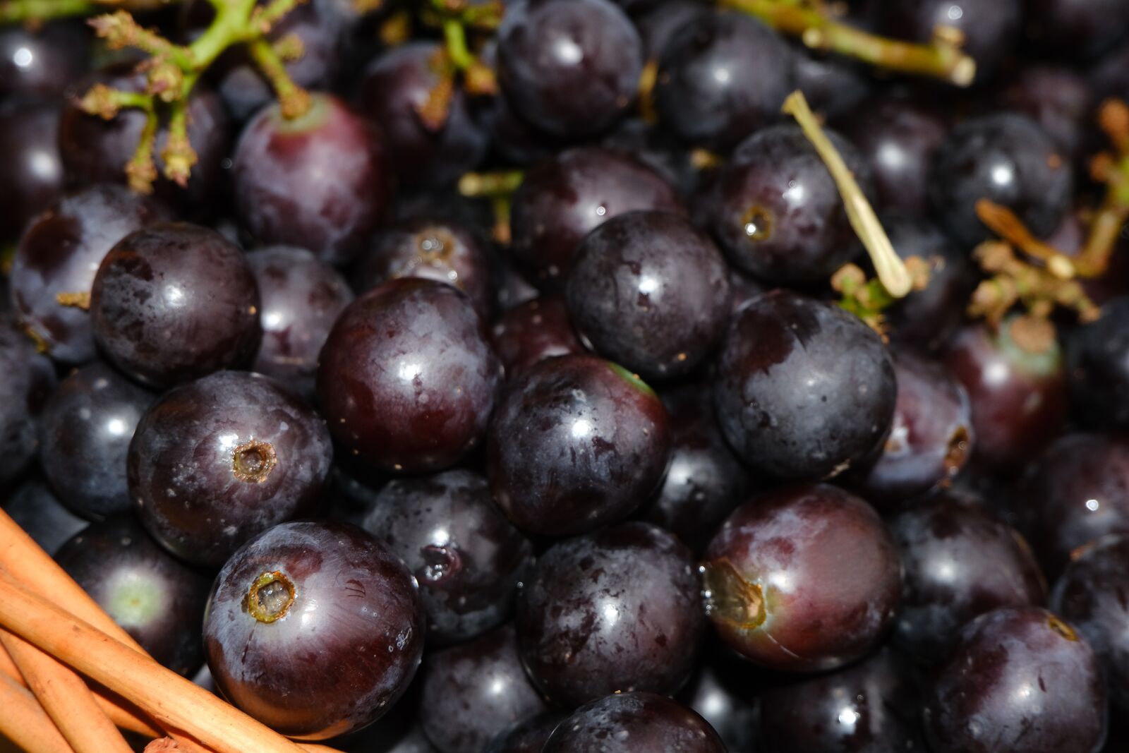 Fujifilm X-T30 sample photo. Fruits, grapes, wine photography