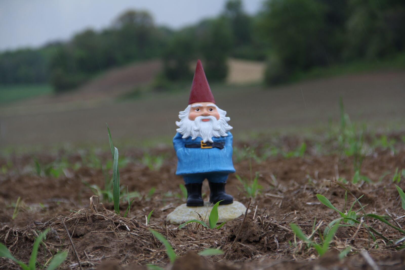 Canon EOS 60D sample photo. Gnome, farm, field photography