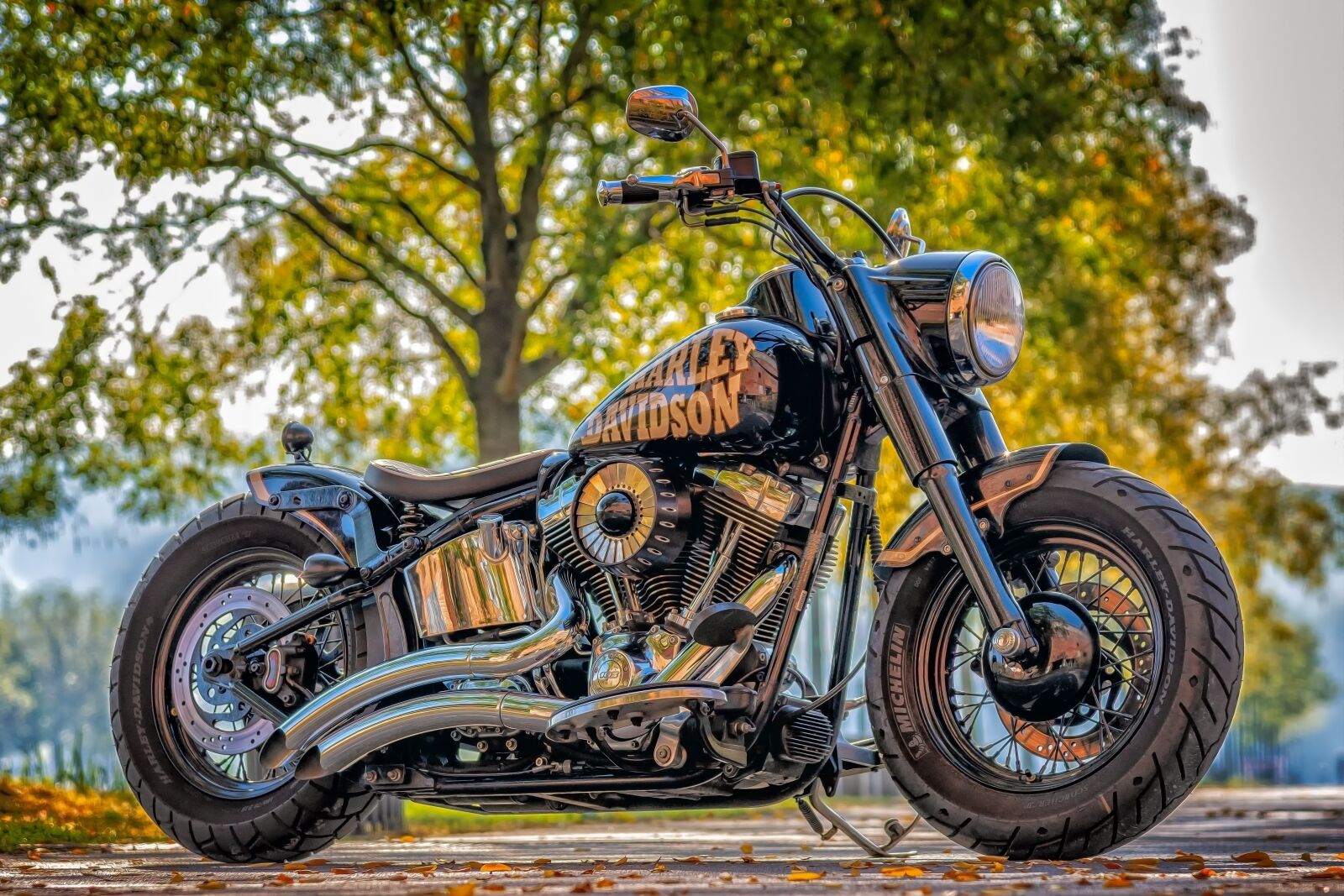 Nikon D3300 sample photo. Harley davidson, motorcycle, machine photography