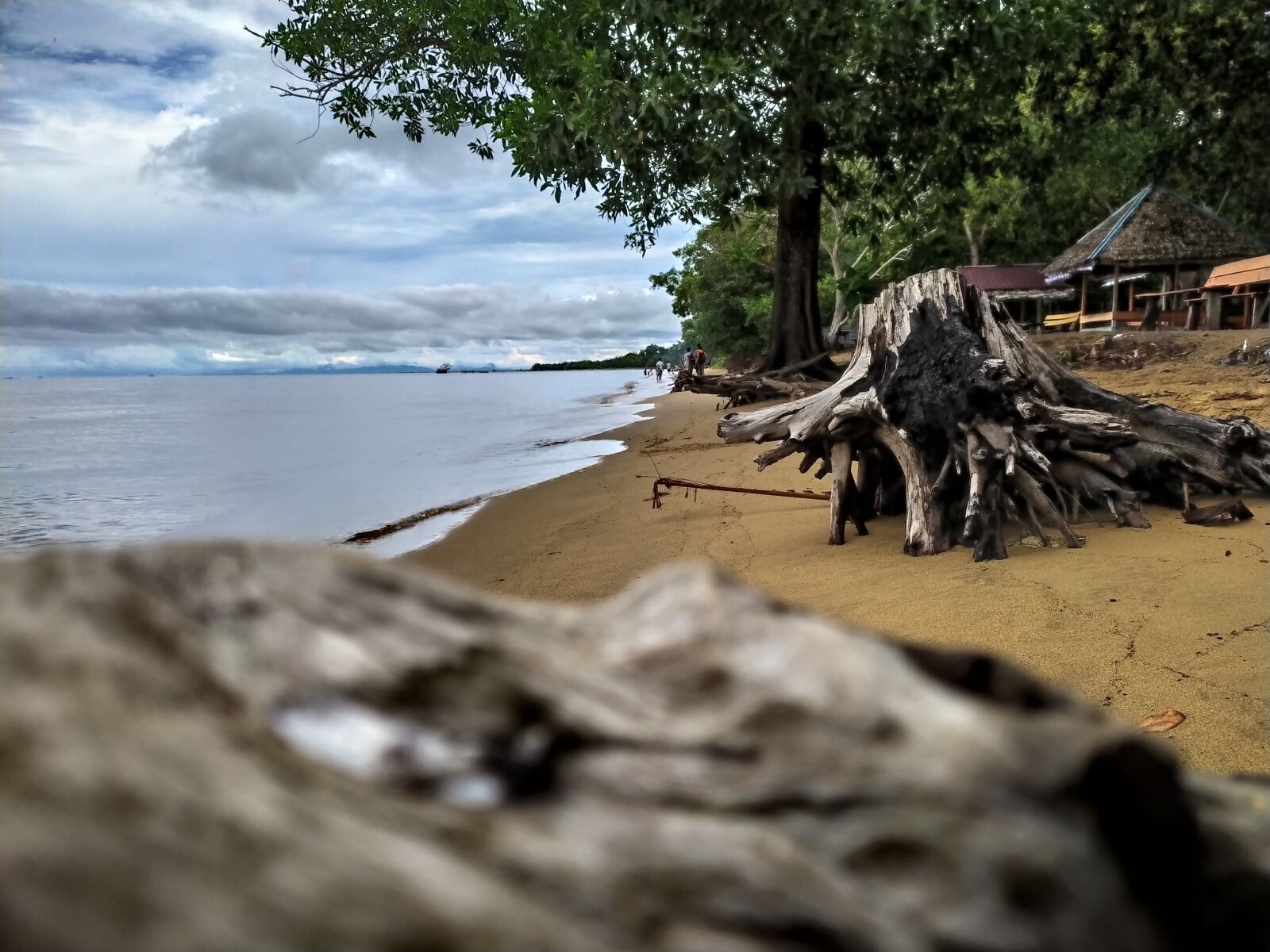 Xiaomi Redmi Note 7 sample photo. Beach, sand, nature photography