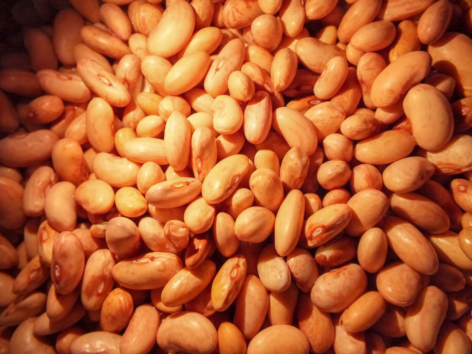 FujiFilm FinePix HS20 EXR (FinePix HS22 EXR) sample photo. Beans, peas, red photography