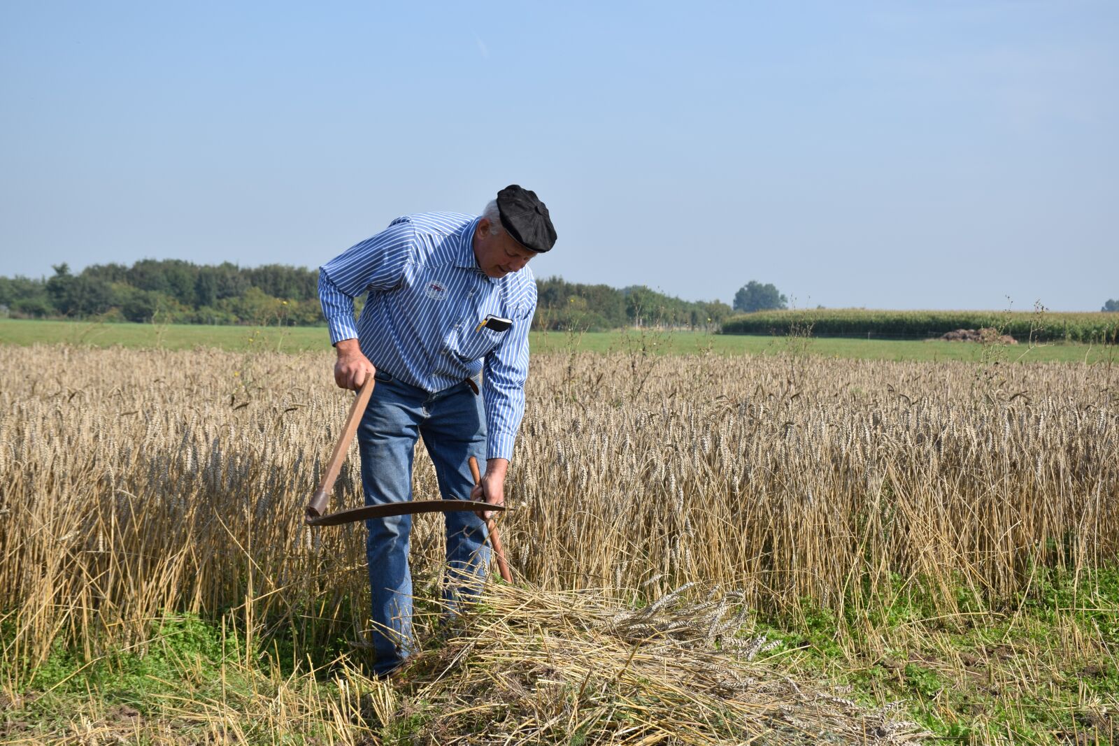 Nikon D5300 sample photo. Agriculture, harvest, farmer photography