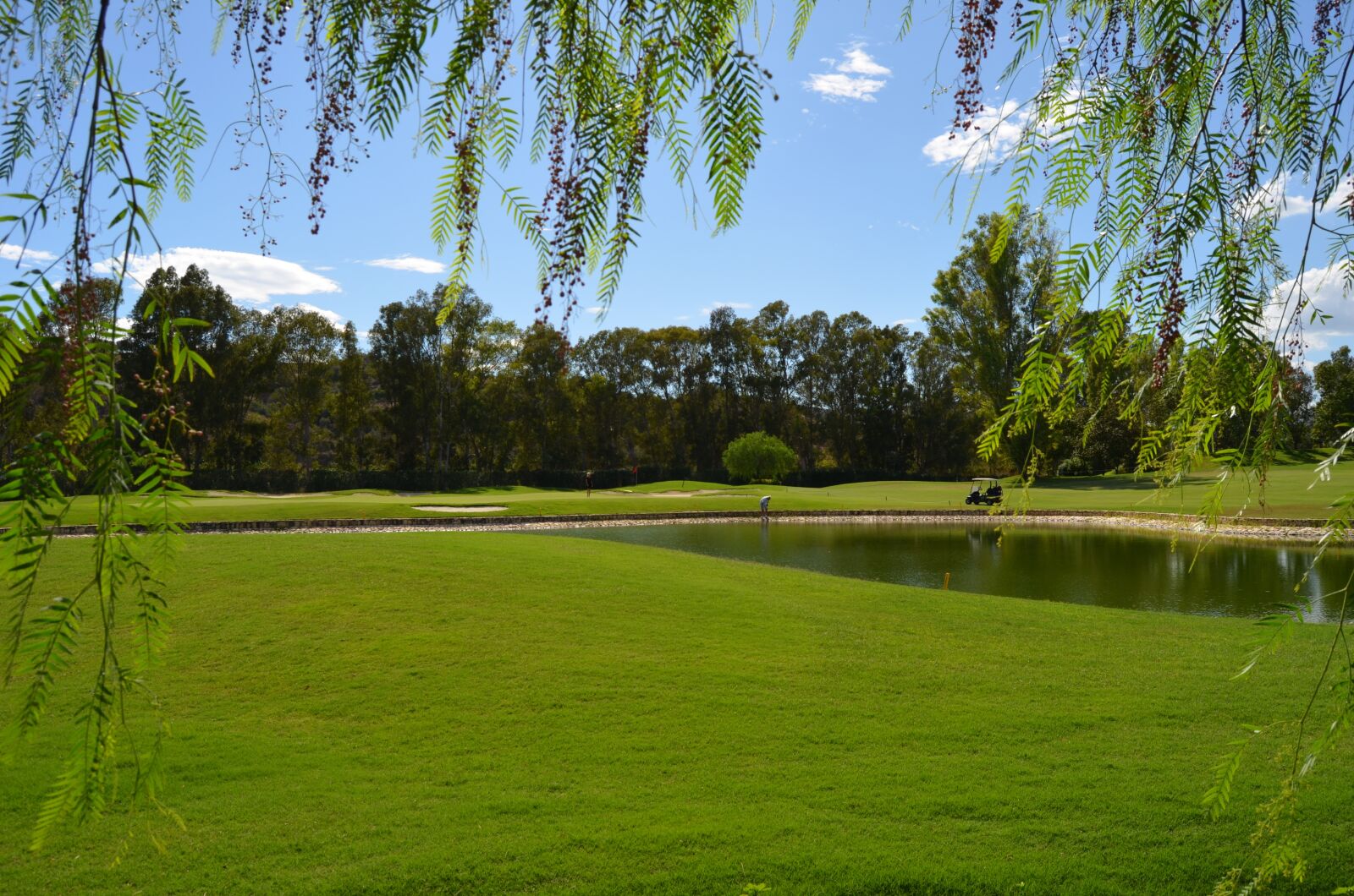 Nikon D5100 sample photo. Golf, spain, mijas photography