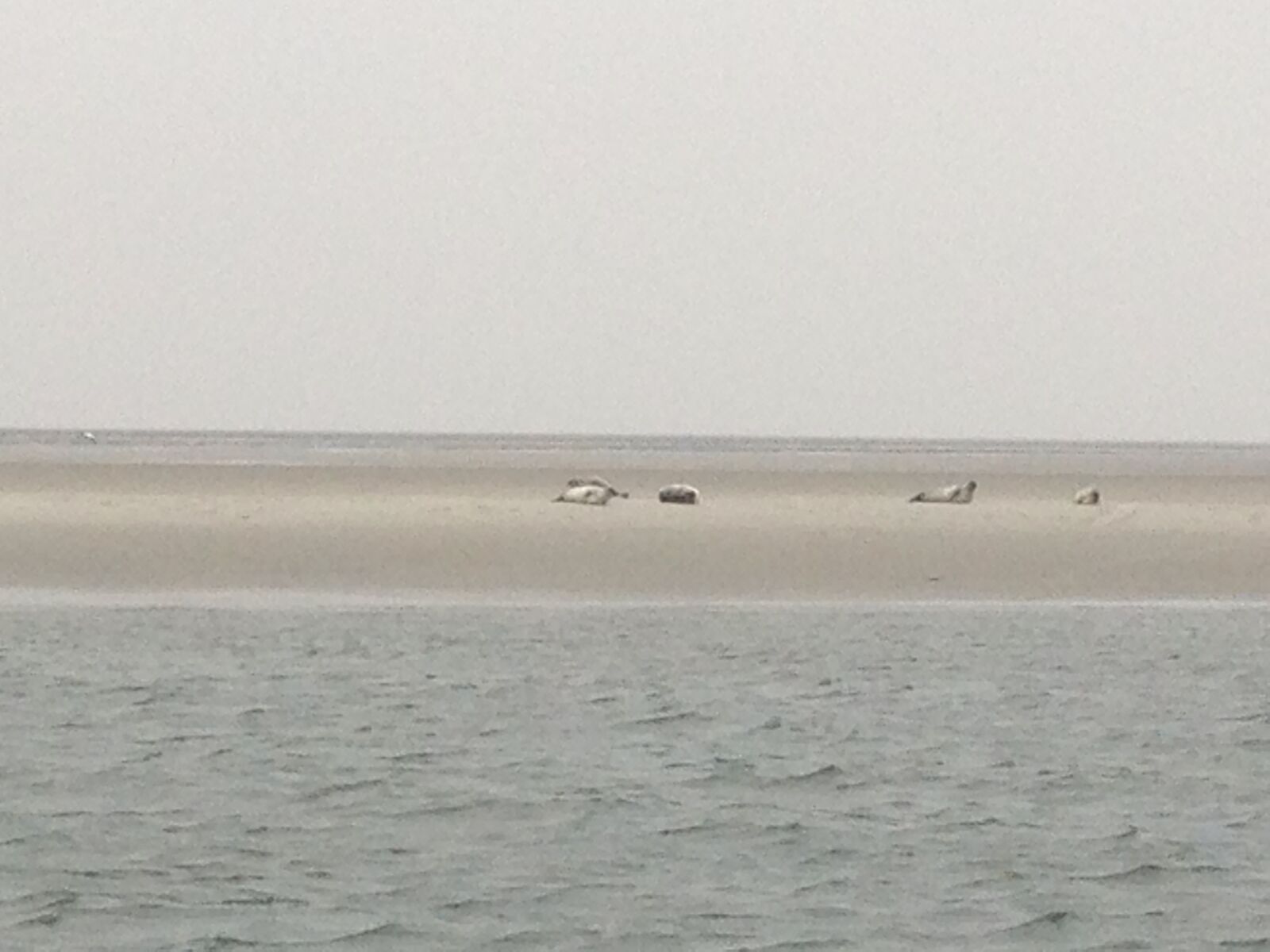 Apple iPhone 5 sample photo. Sea, ocean, beach photography