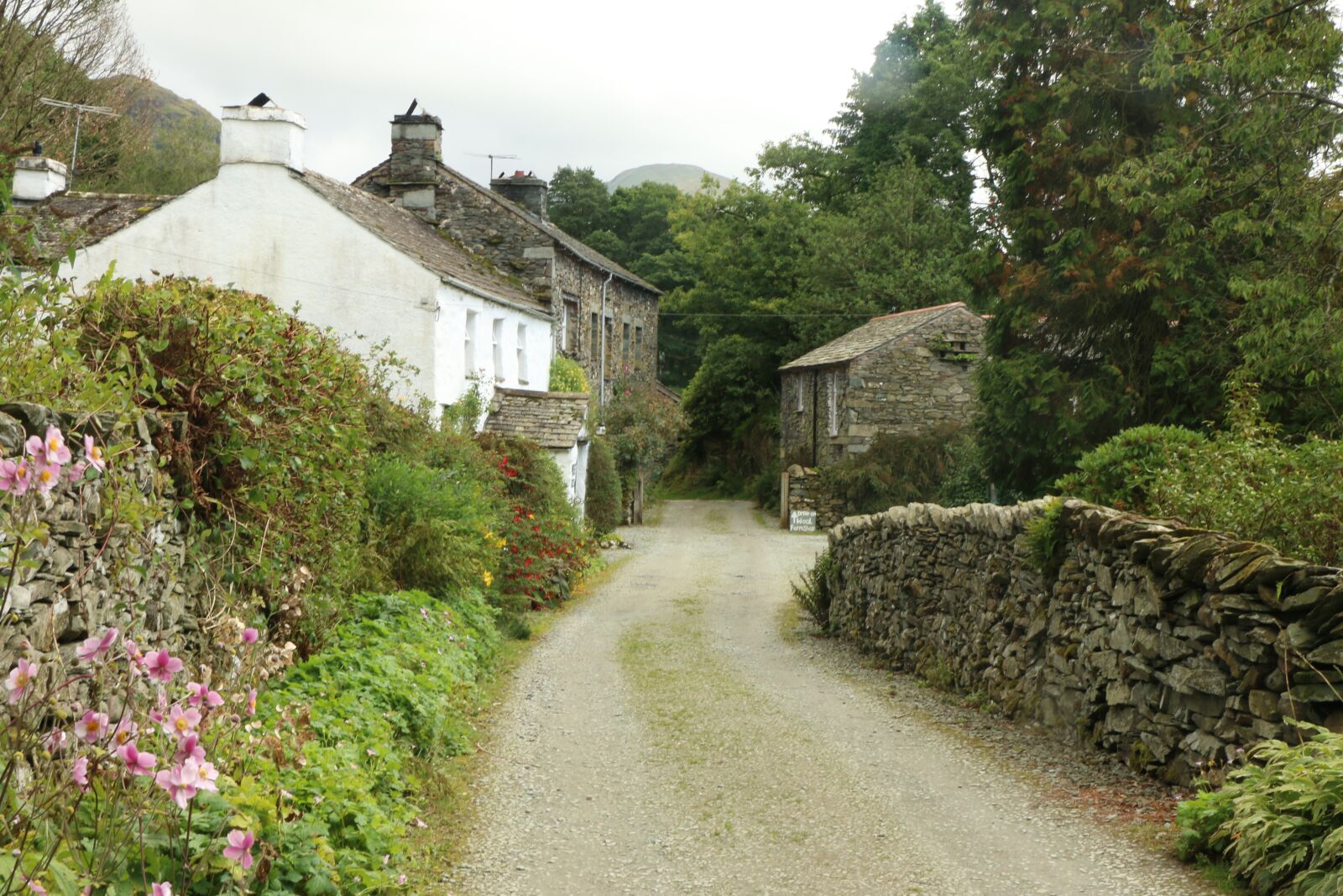 Canon EOS 70D sample photo. Cottage, lakes, nature photography