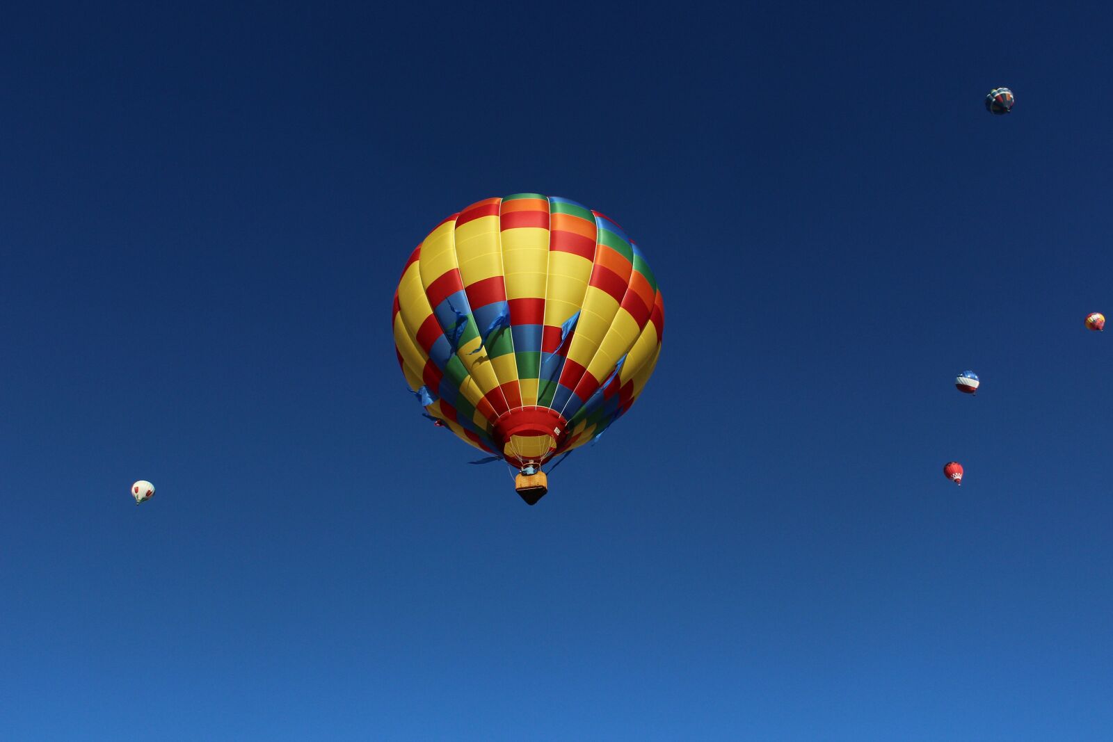 Canon EOS 600D (Rebel EOS T3i / EOS Kiss X5) sample photo. Balloon, walk, blue photography