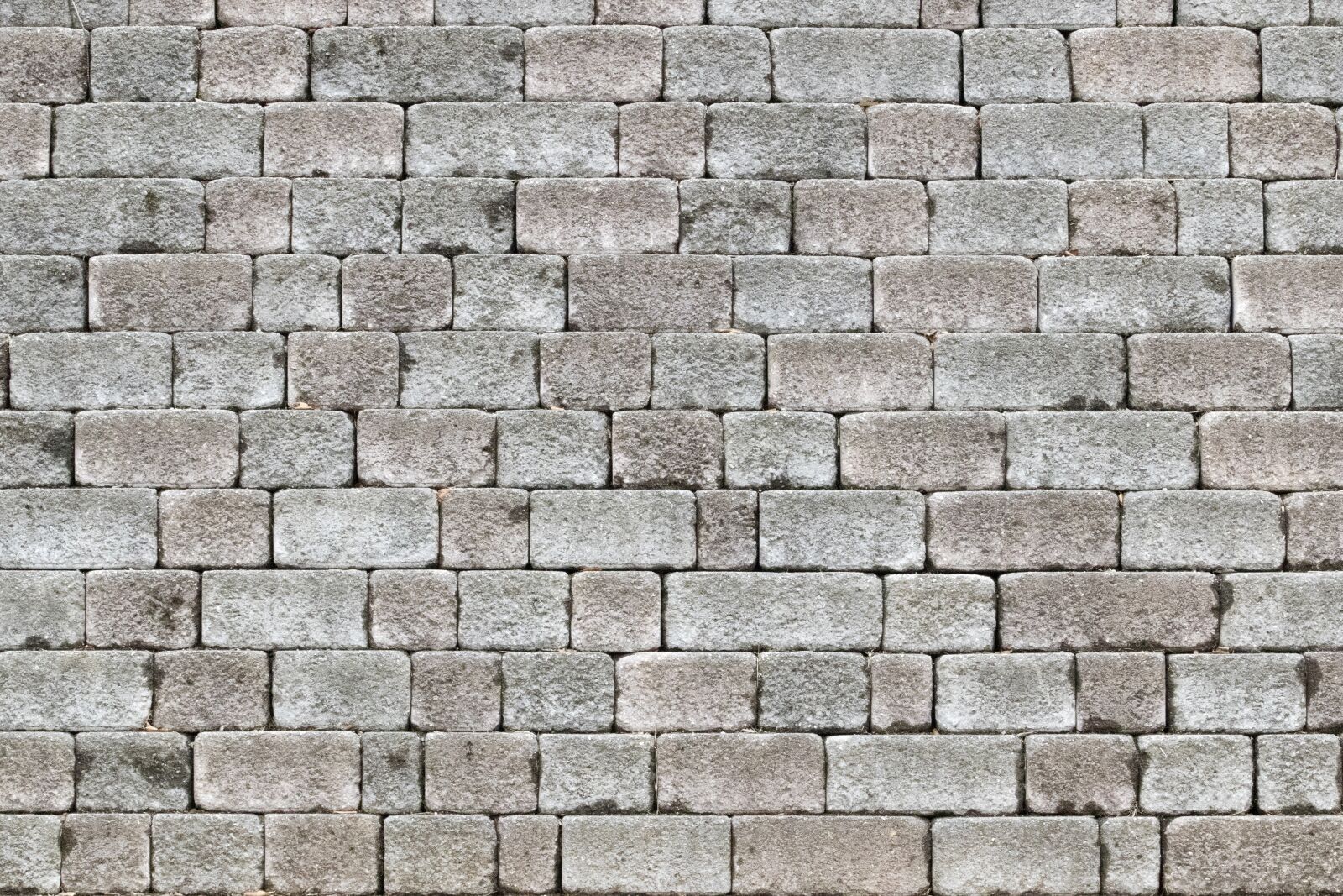 Canon EF 70-200mm F2.8L USM sample photo. Wall, tile, brick photography