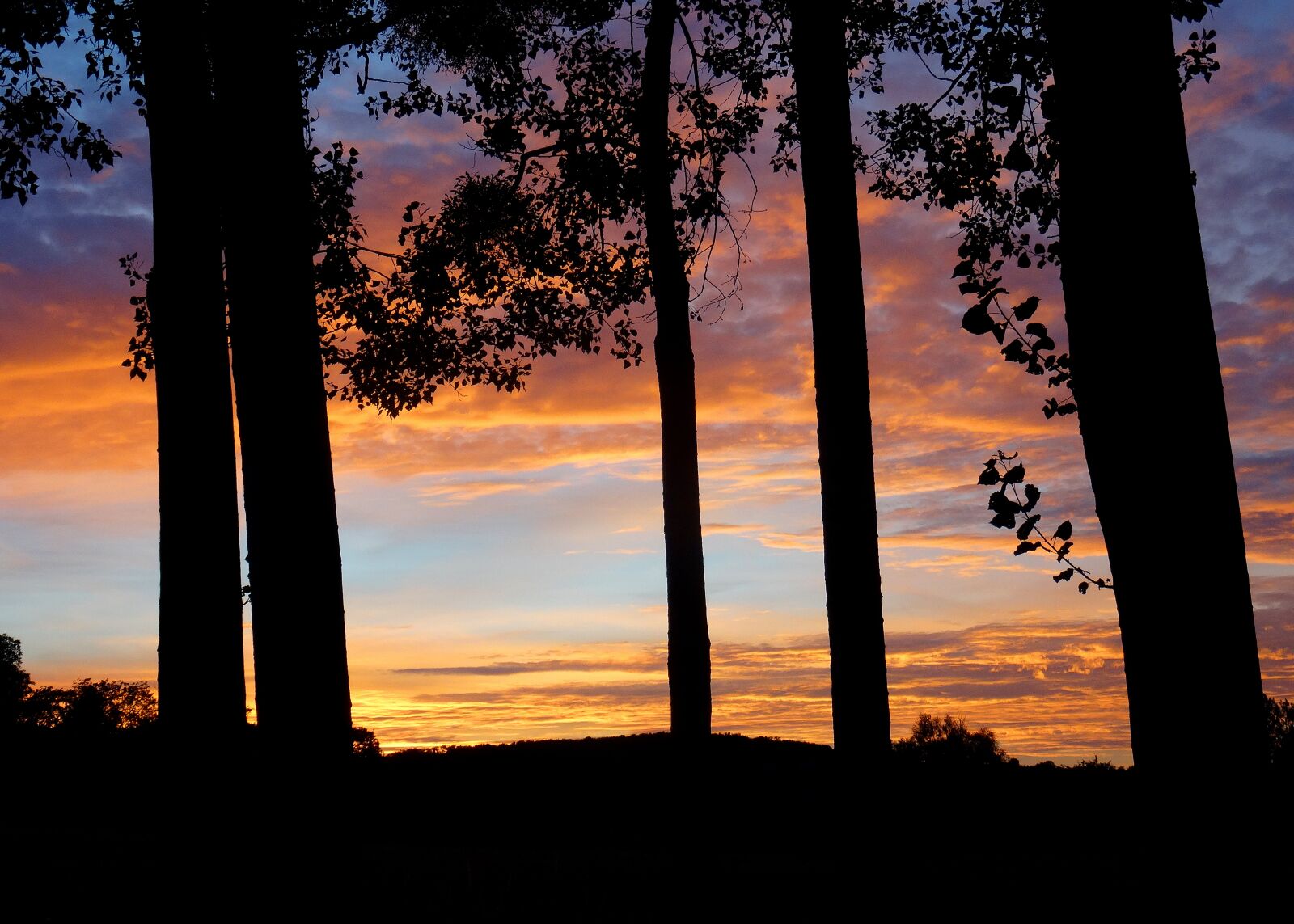 Sony DSC-HX50 sample photo. Landscape, sunset, nature photography