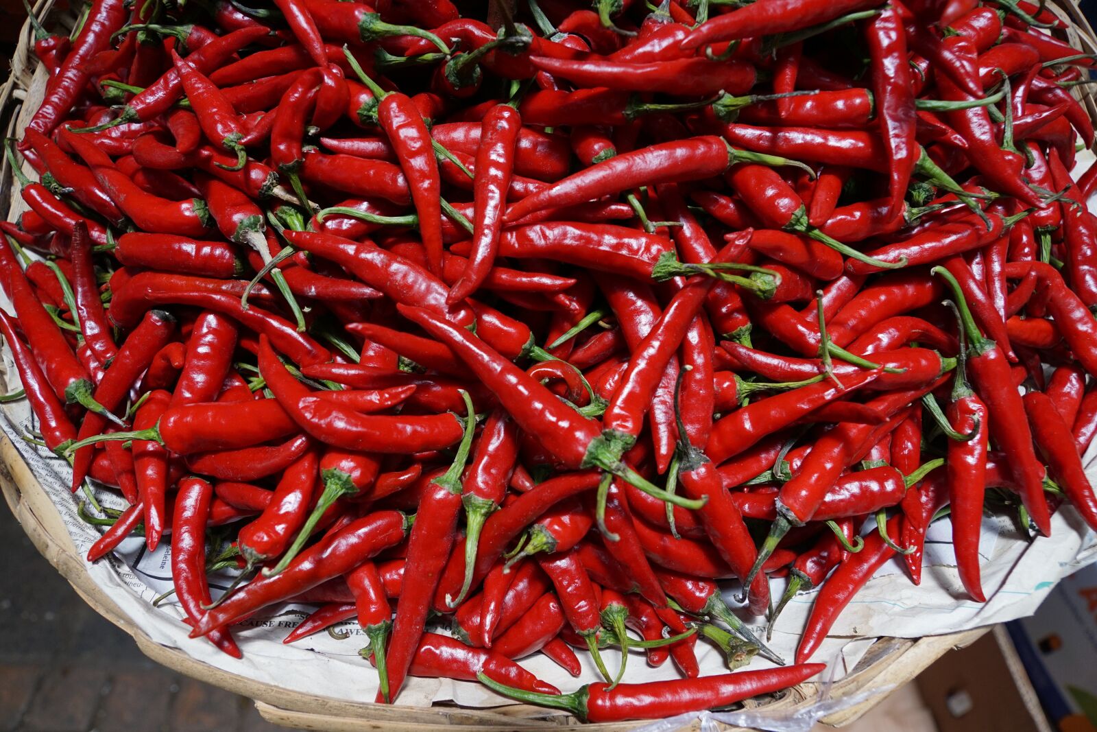 Sony ILCA-77M2 + Sony DT 16-50mm F2.8 SSM sample photo. Chili, red, sharp photography