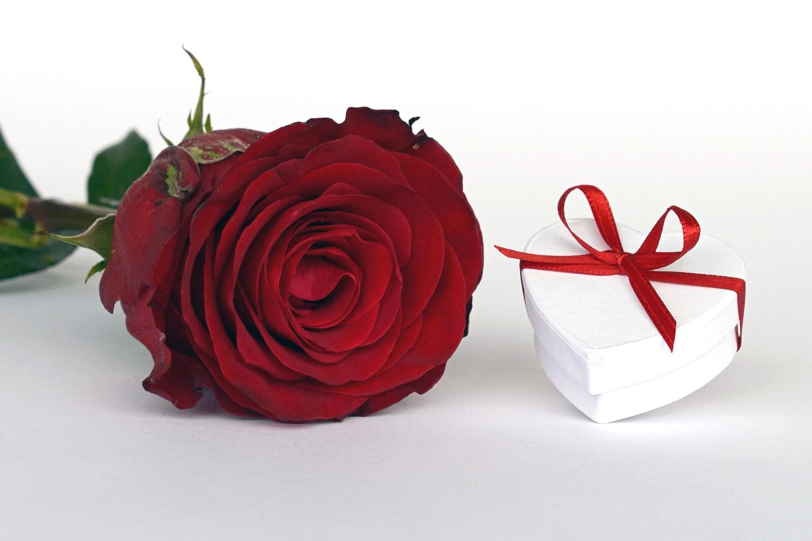 Nikon D7100 sample photo. Rose, flower, gift, romance photography