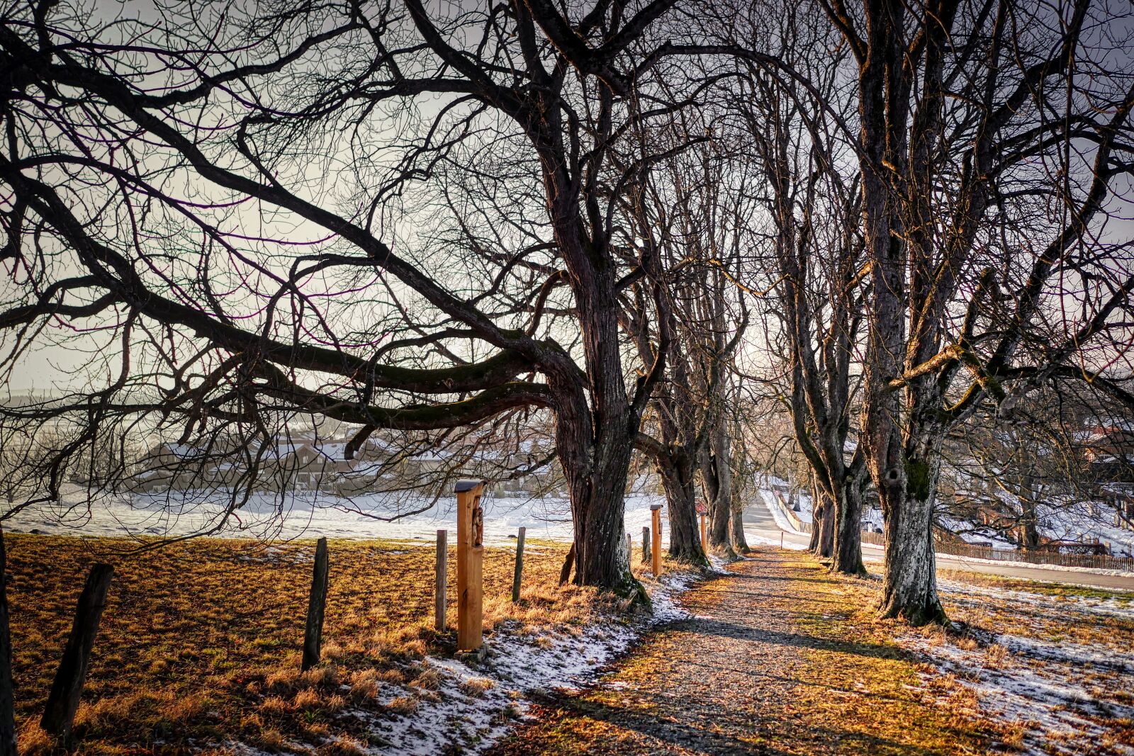 Panasonic Lumix DMC-GX8 sample photo. Away, winter, nature photography