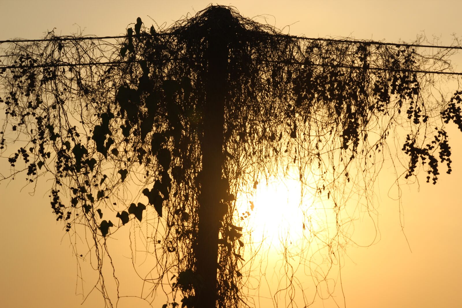 Canon EOS 600D (Rebel EOS T3i / EOS Kiss X5) sample photo. Sunset, sky, sunrise photography