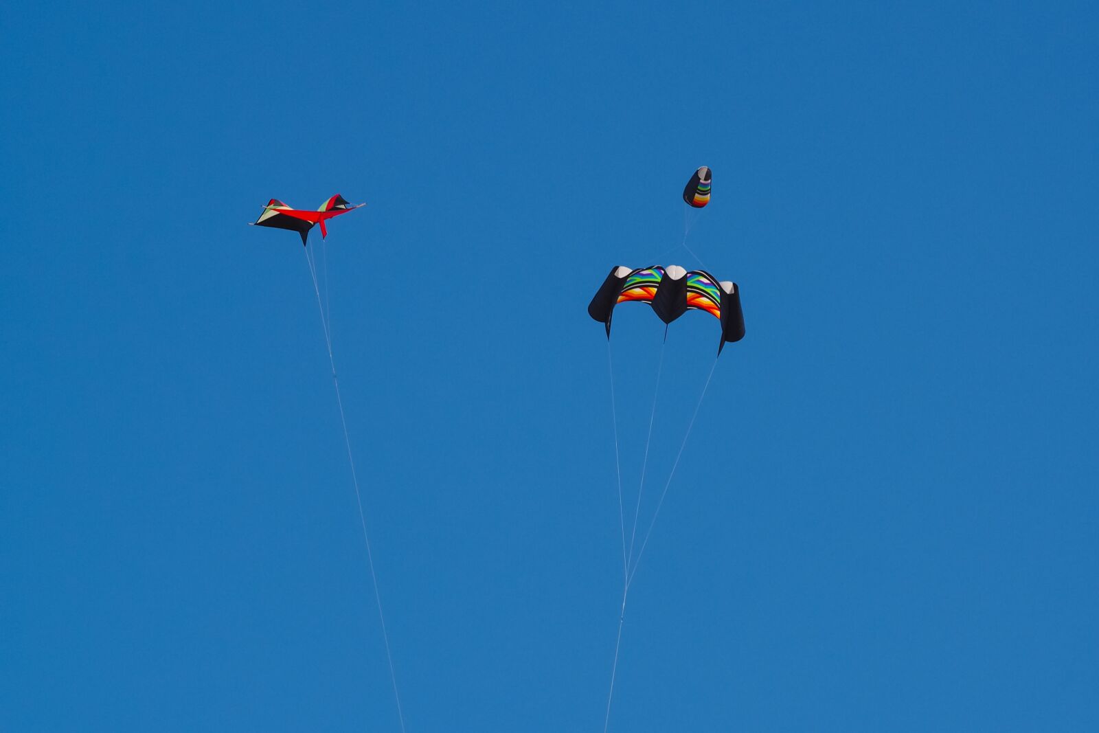 Olympus OM-D E-M10 sample photo. Dragons, leisure, flying photography
