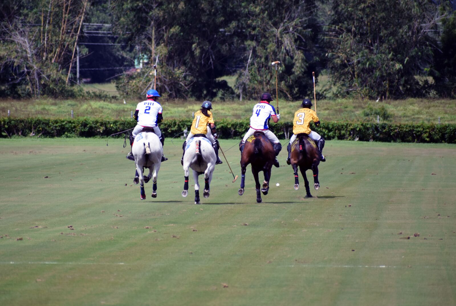 Nikon D5300 sample photo. Horses, polo, horse photography