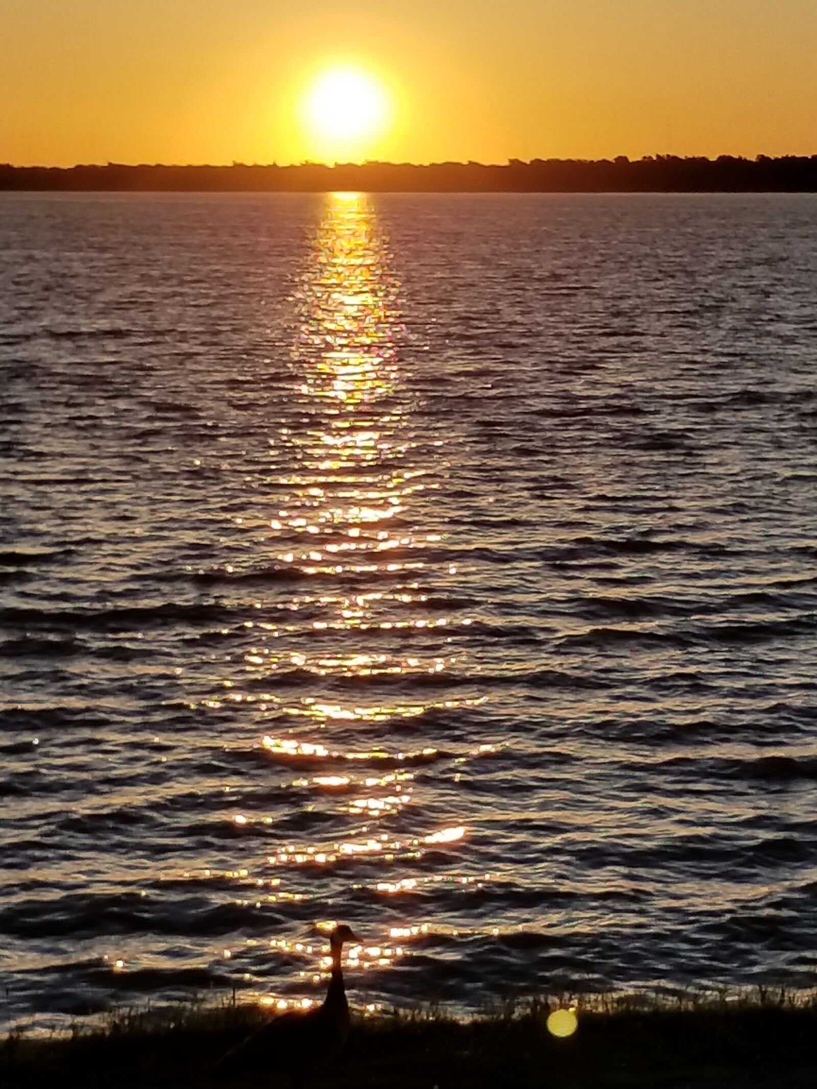 Samsung Galaxy S8+ sample photo. Lake, sunrise, nature photography