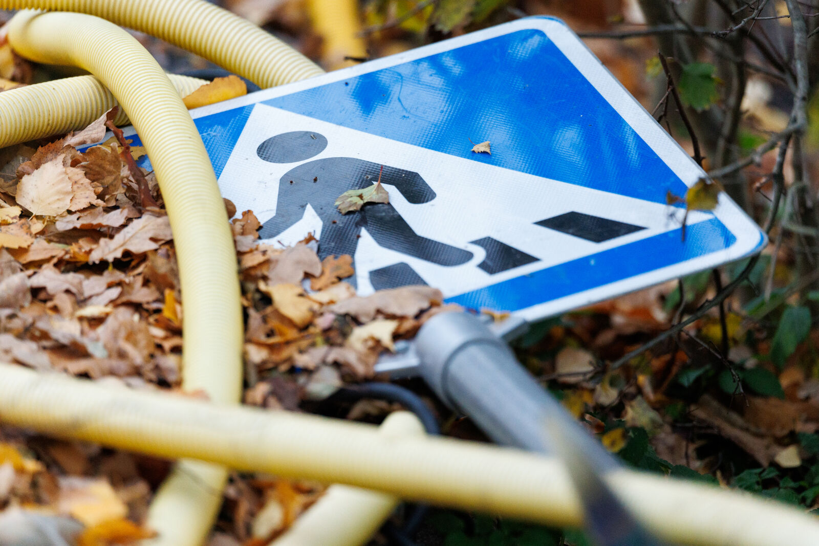 Canon EOS R1 sample photo. Sign fallen photography