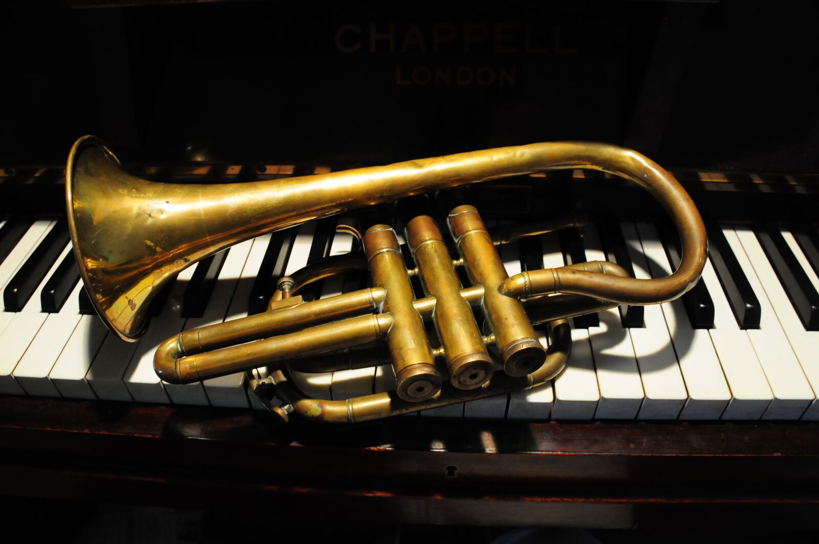 Nikon D300 sample photo. Trumpet, music, piano photography