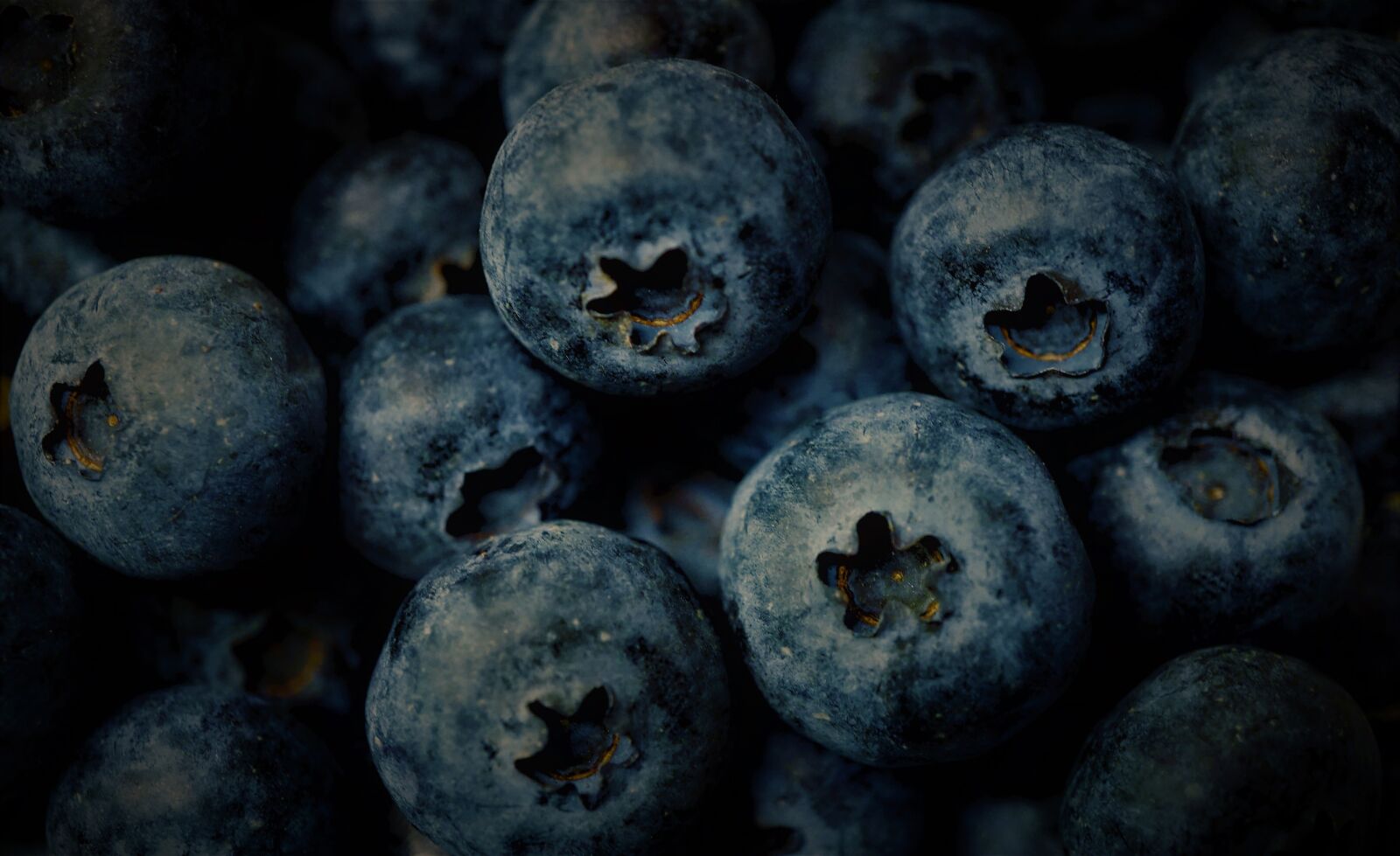 Sony E 30mm F3.5 Macro sample photo. Food, fruit, blueberries photography