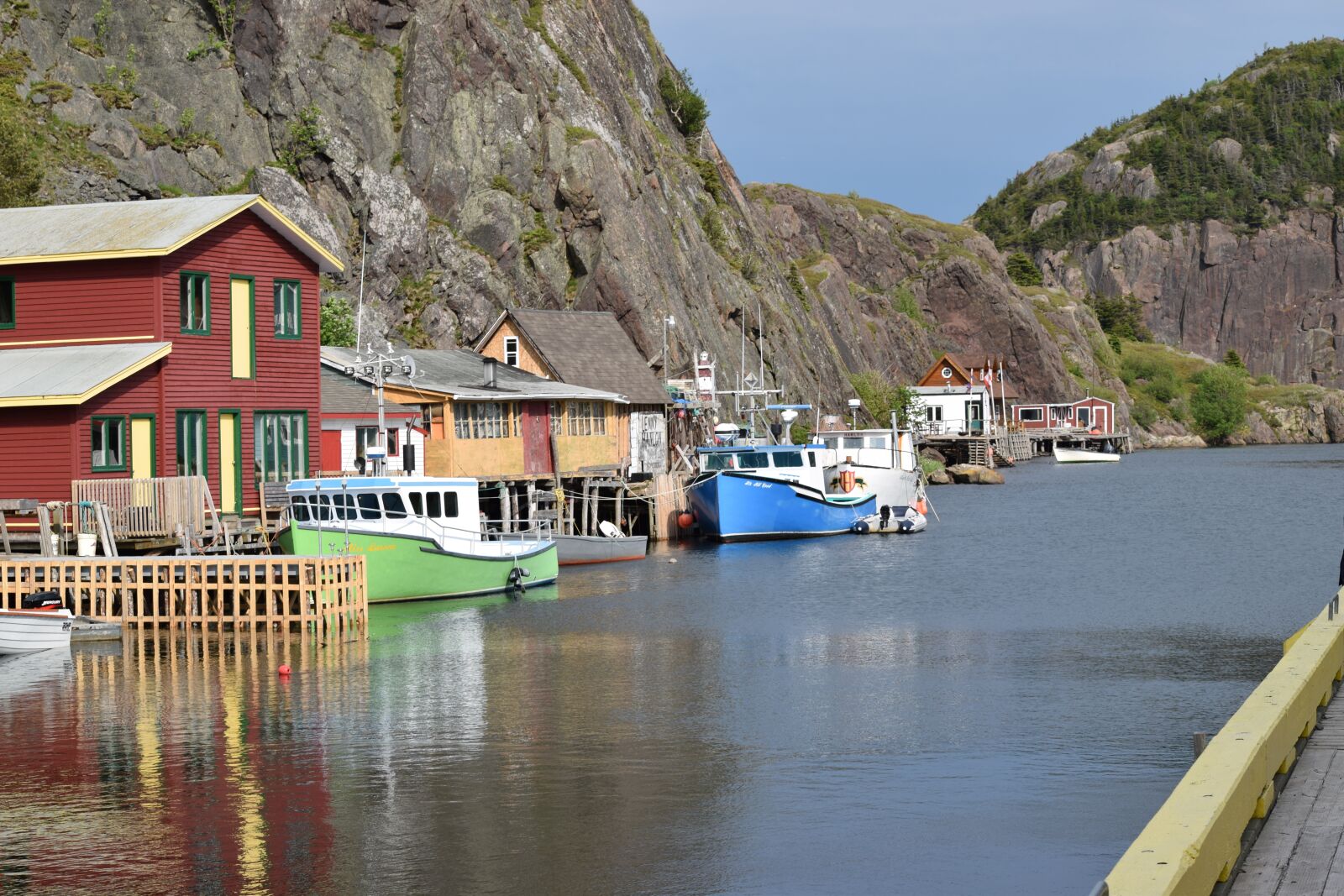 Nikon D5300 sample photo. Newfoundland, quidi vidi, boats photography