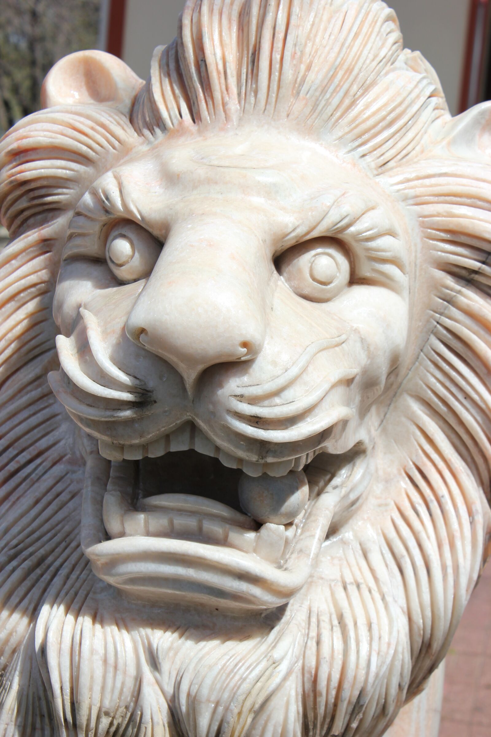 Canon EOS 550D (EOS Rebel T2i / EOS Kiss X4) sample photo. Lion, statue, sculpture photography