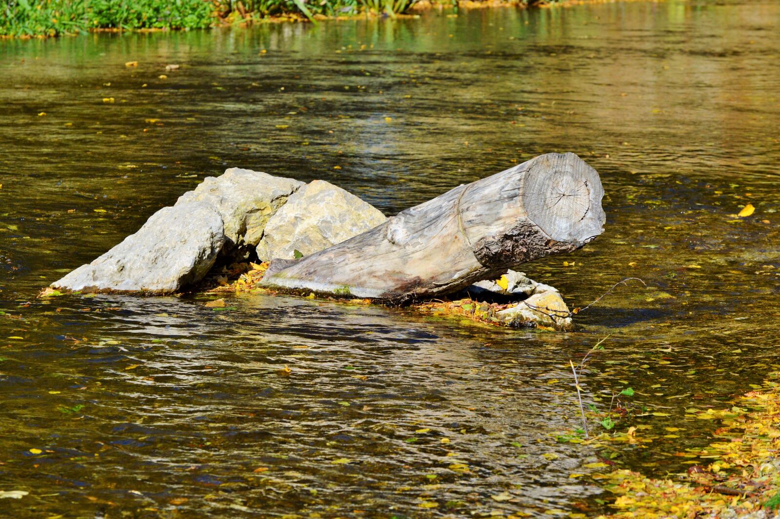 Nikon D3200 sample photo. River, drift wood, water photography