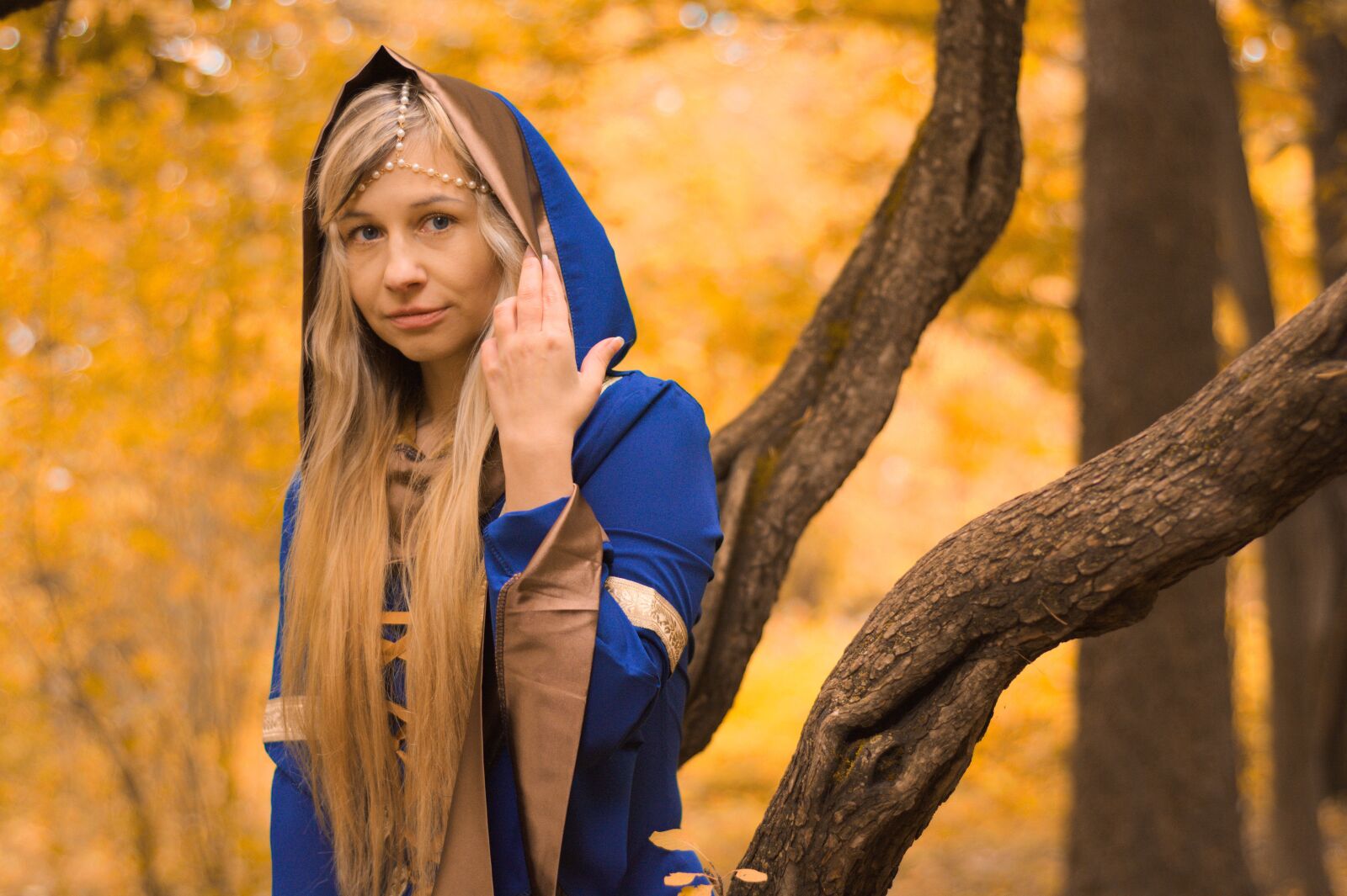 Nikon D7100 sample photo. Story, fairy forest, magic photography